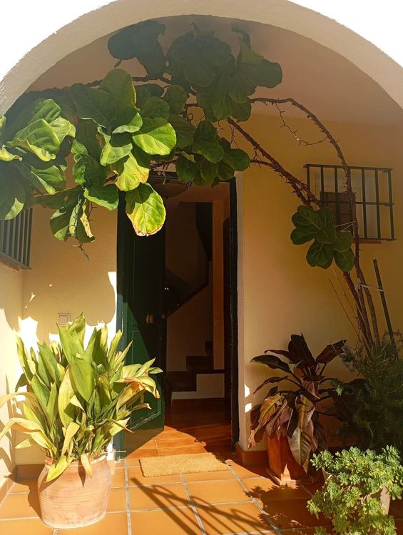 House | Resale in Casares Playa in Casares Playa, Costa del Sol - Photo 4