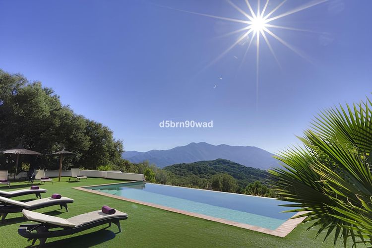 listing card gallery