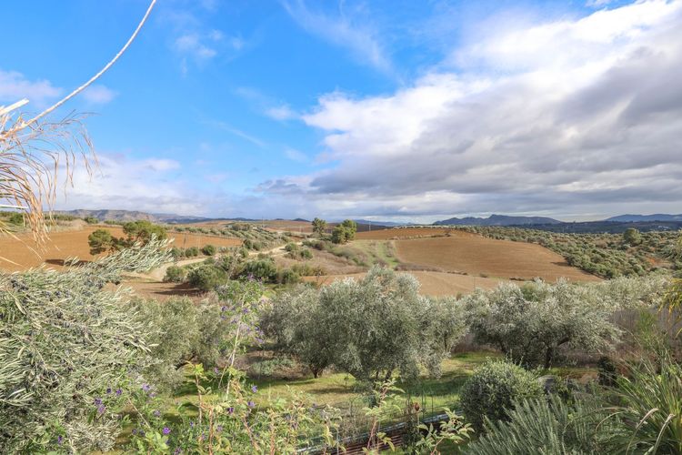 House | Resale in Coín in Coín, Costa del Sol - Photo 3