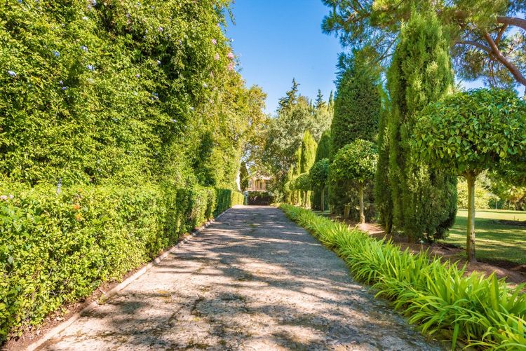 House | Resale in Sotogrande Alto in Sotogrande Alto, Sotogrande, Costa del Sol - Photo 4