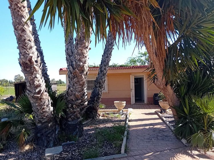 House | Resale in Dolores in Costa Blanca - Photo 2