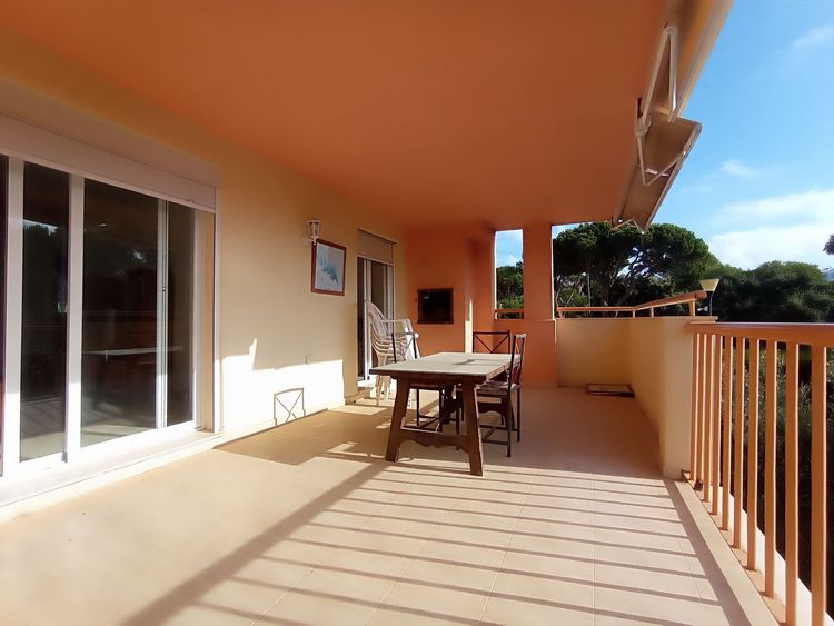 listing card gallery