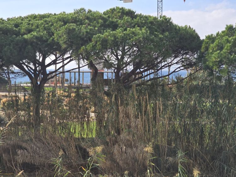 Apartment | Resale in Los Monteros in Los Monteros, Costa del Sol - Photo 2