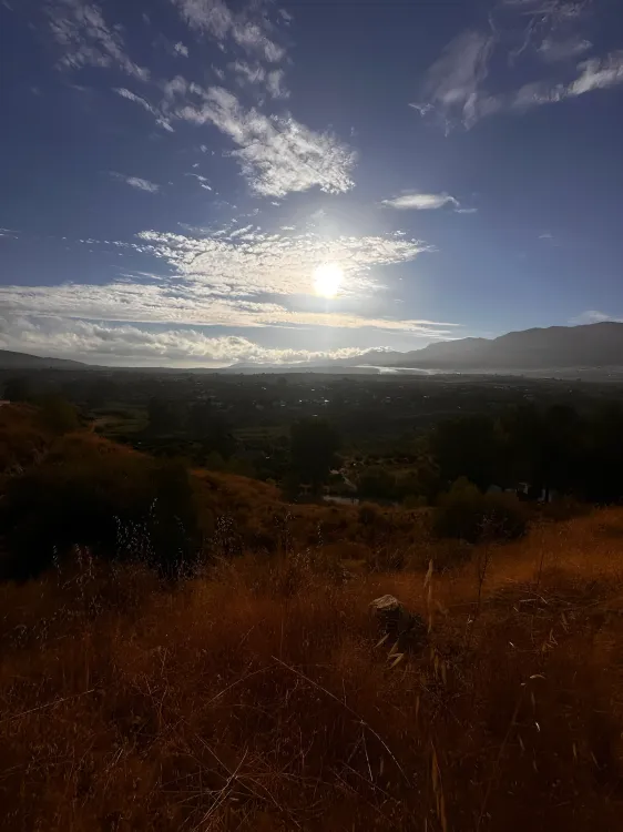 Faisan 99 HL in Villafranco del Guadalhorce, Costa del Sol - Photo 3