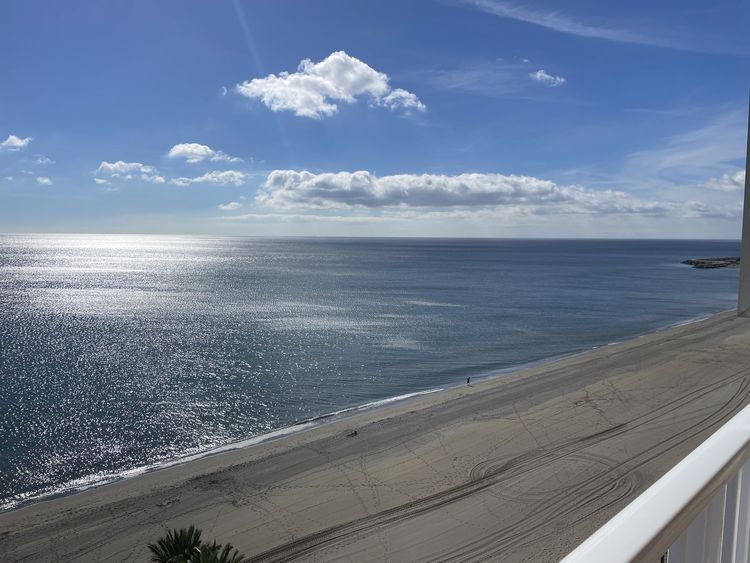 listing card gallery