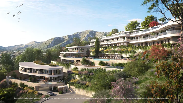 Organic - Development photo 1