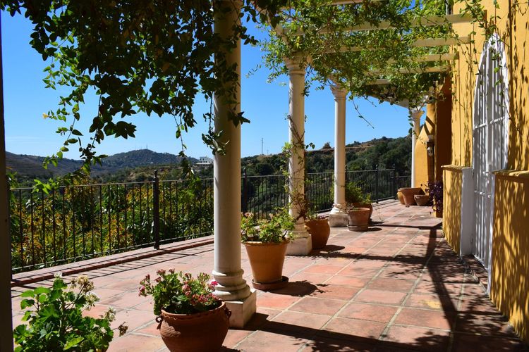 listing card gallery