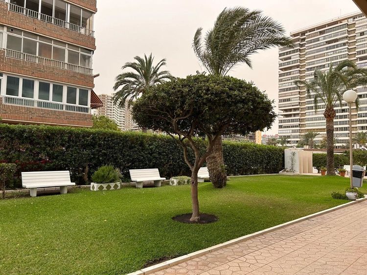 Apartment | Resale in Playa de San Juan in Playa de San Juan, Costa Blanca - Photo 2