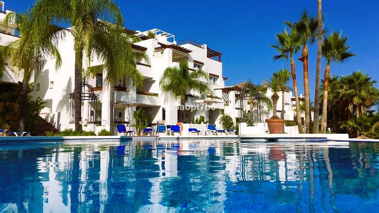 listing card gallery