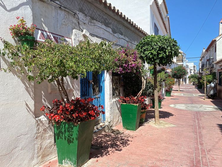 House | Resale in Estepona - Development photo 1