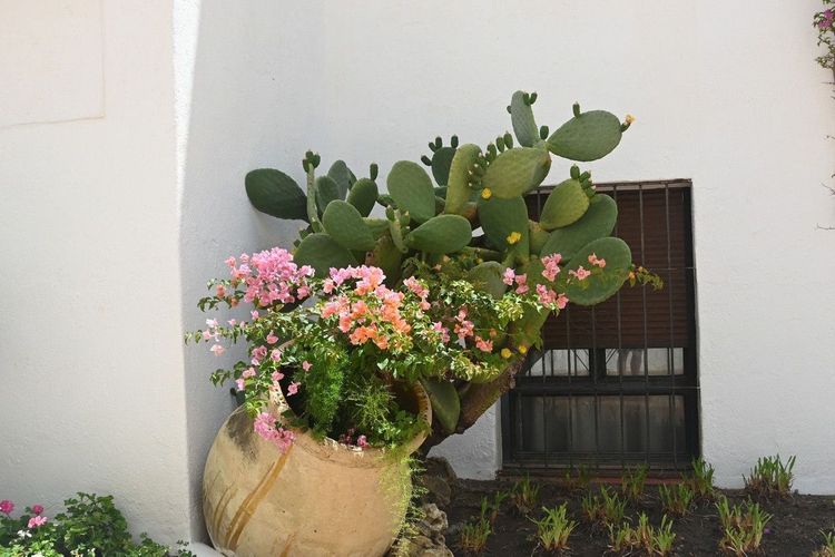 Apartment | Resale in Nueva Andalucía in Nueva Andalucía Others, Costa del Sol - Photo 5