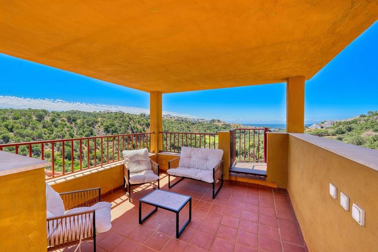 listing card gallery