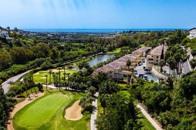 listing card gallery