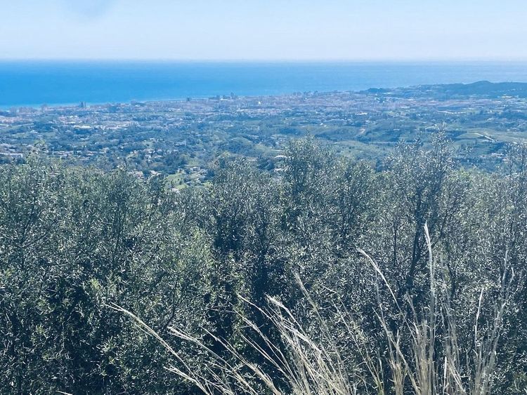 House | Resale in Valtocado - Development photo 1