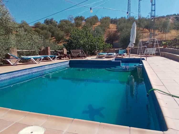 listing card gallery