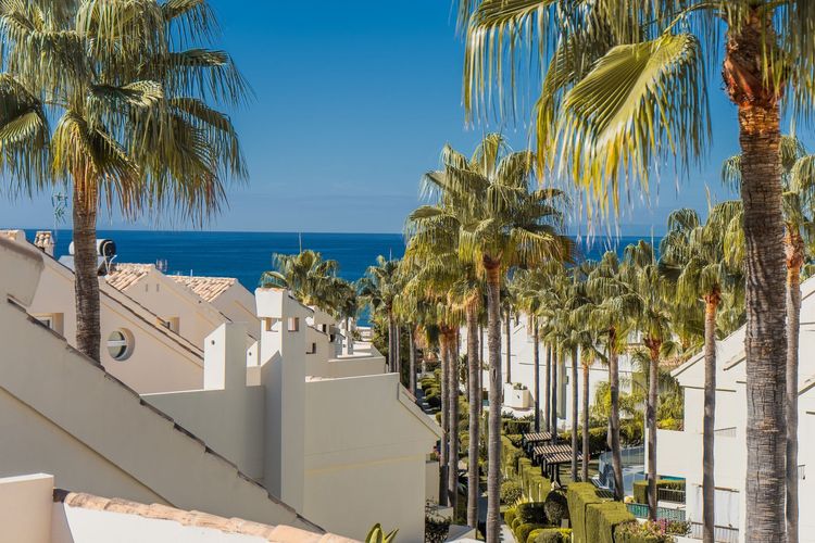 listing card gallery