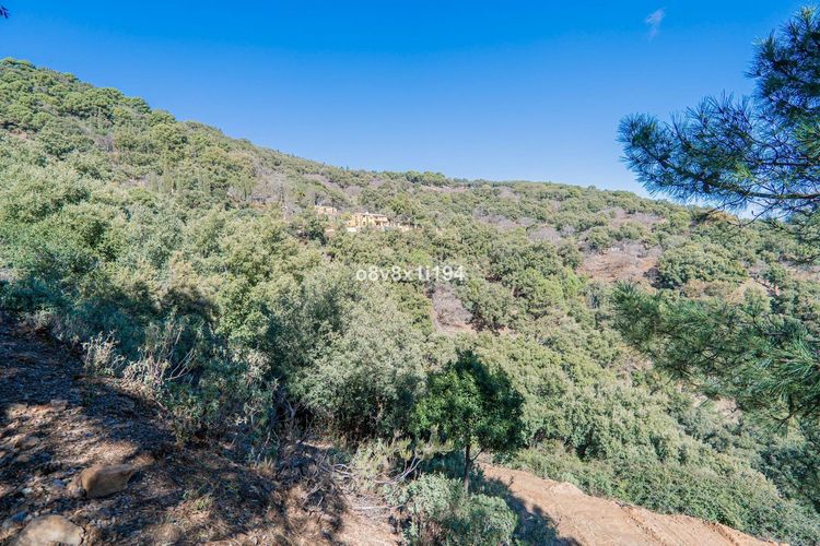 listing card gallery