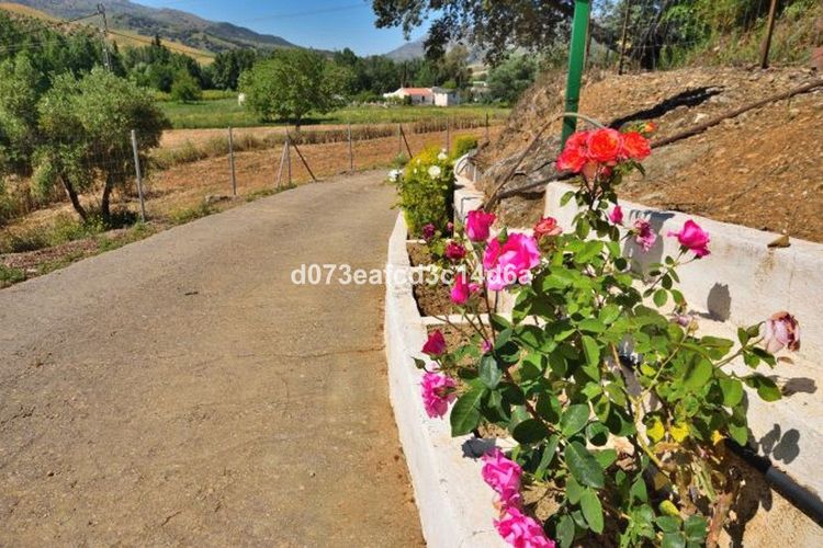 House | Resale in Ronda in Ronda, Serranía de Ronda, Costa del Sol - Photo 3