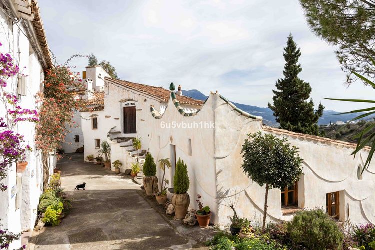 listing card gallery