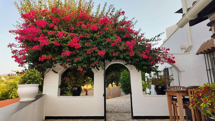 House | Resale in Alhaurín el Grande in Alhaurín el Grande, Valle de Guadalhorce, Costa del Sol - Photo 3
