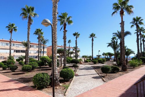 Departamento | Reventa en Mil Palmeras — Mil Palmeras, Costa Blanca