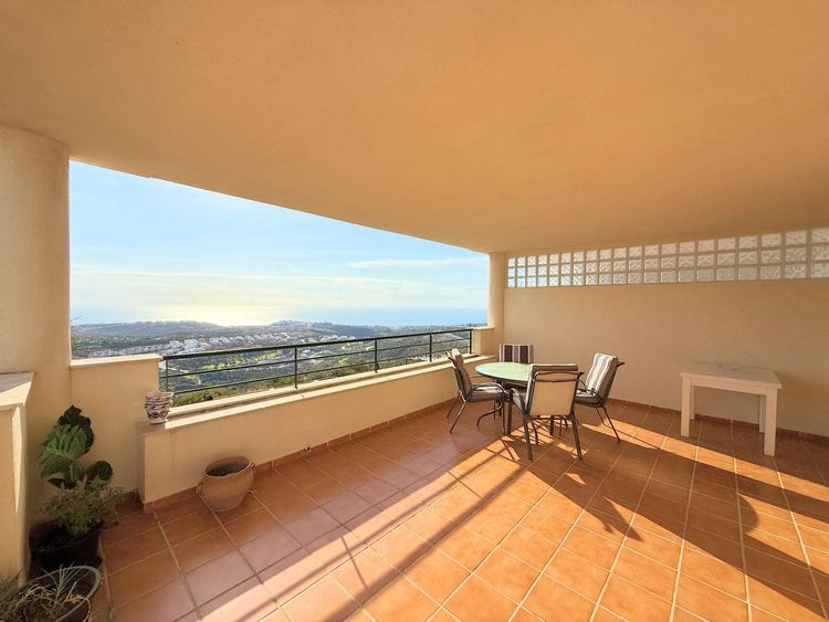 listing card gallery