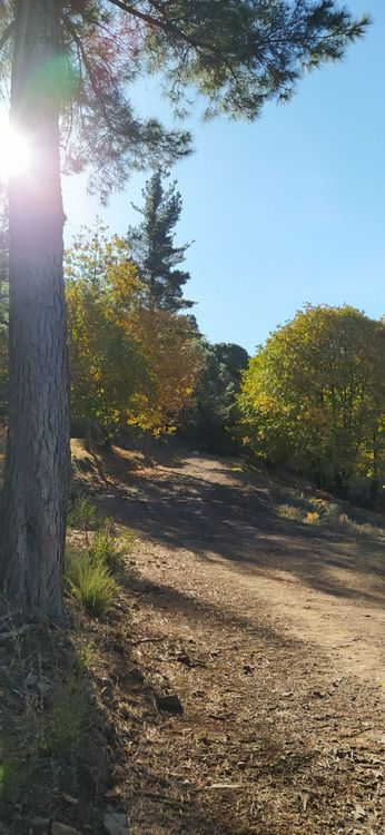 listing card gallery