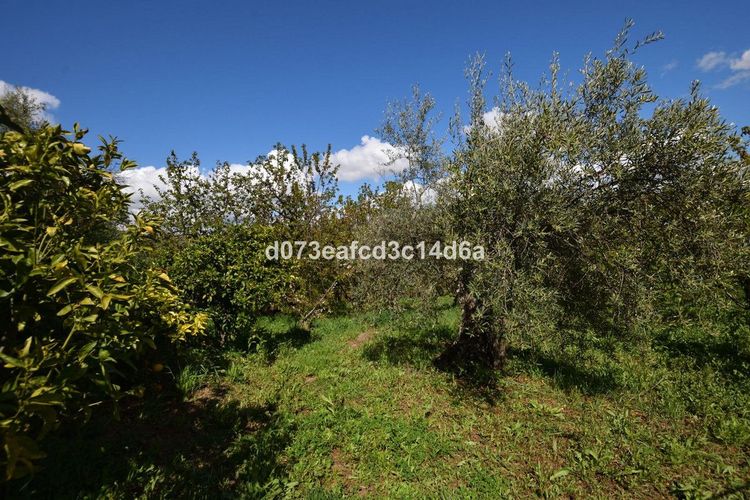 House | Resale in Cartajima in Cartajima, Costa del Sol - Photo 2