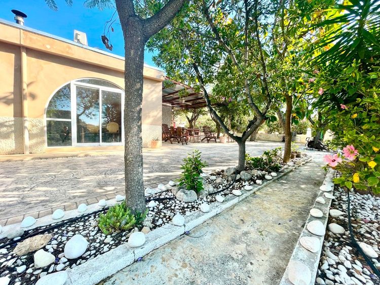 House | Resale in Crevillent in Costa Blanca - Photo 3